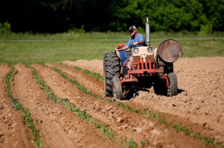 Progresul tehnologic nu sta pe loc – utilaje agricole