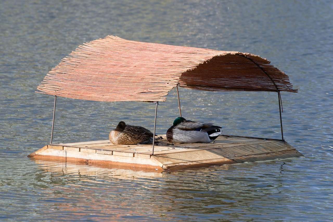 Ce se intampla daca nu dormi o noapte