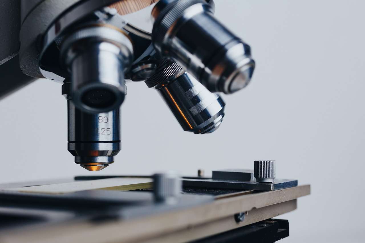 cat dureaza crampele de implantare