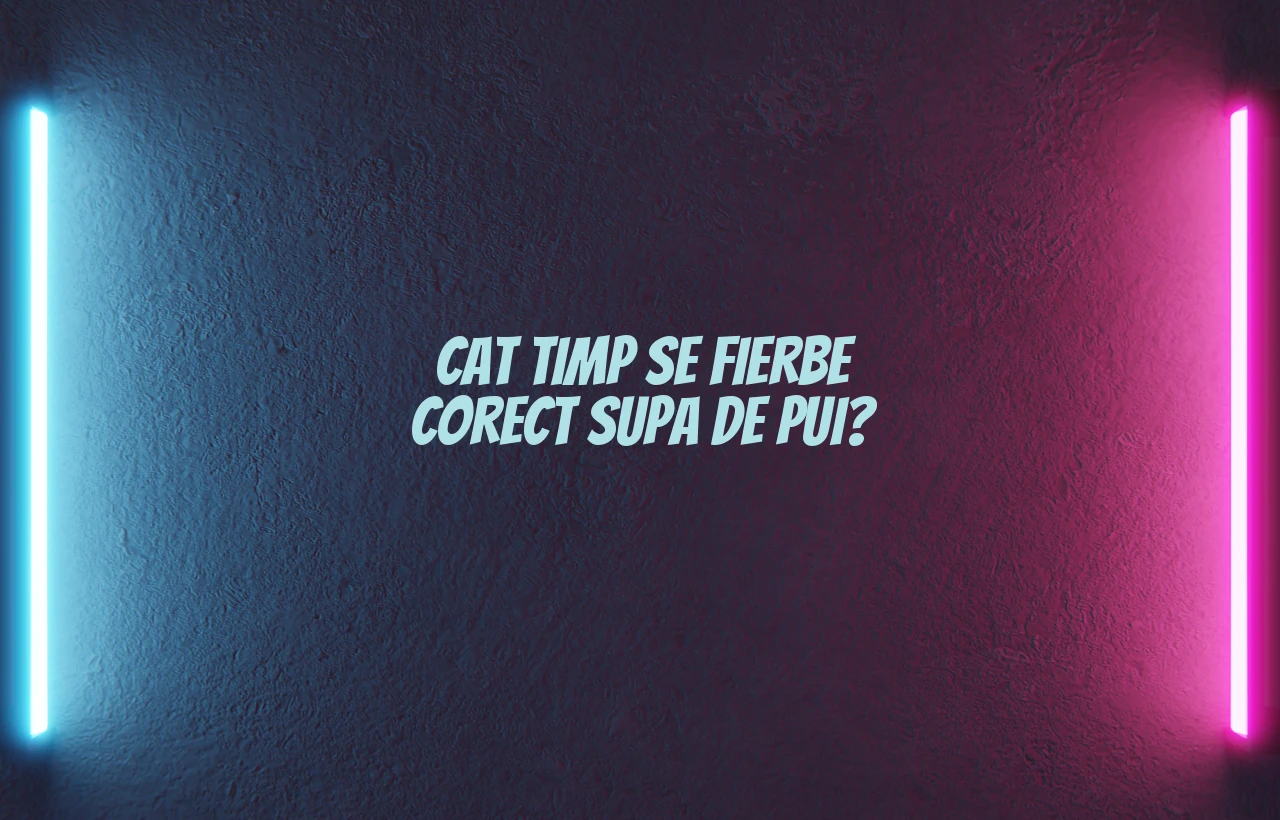 Cat timp se fierbe corect supa de pui?